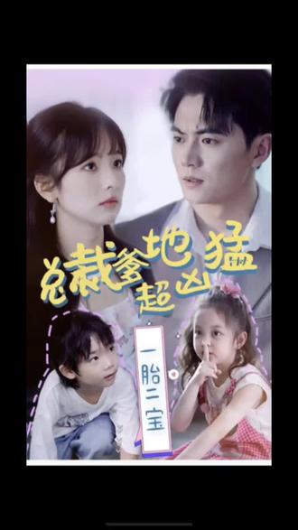 查票的软件海报剧照